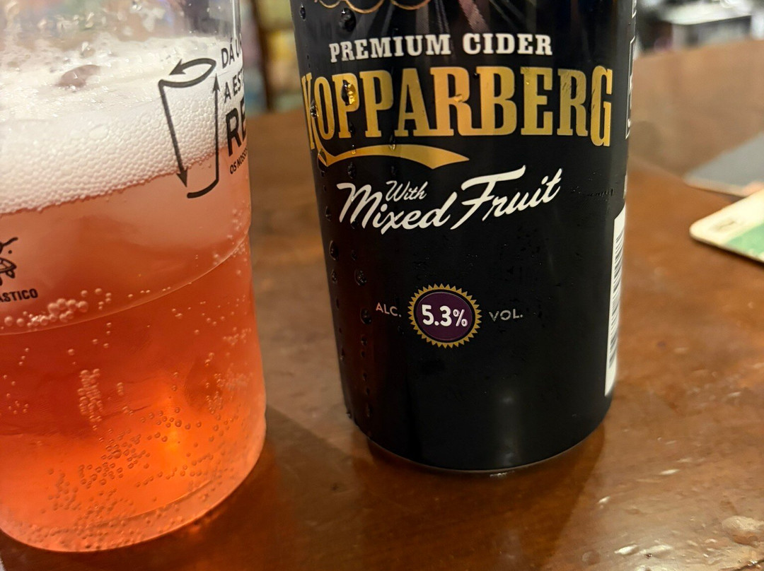 Ryan's Irish Pub-波尔图必去景点