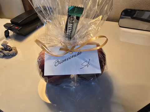 萨菲皇家豪华中心酒店主图