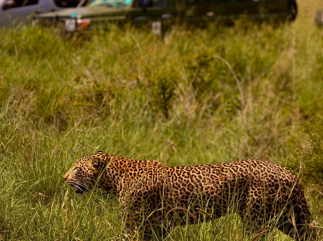 Axis Africa Safaris-内罗毕必去景点