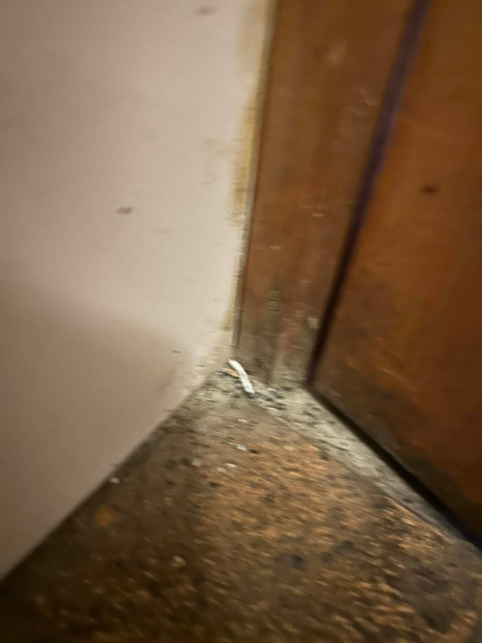 拉帕尔玛浪漫酒店-官方