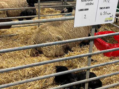 科茨沃尔德农场公园-Kineton必去景点