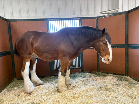 Warm Springs Ranch-Boonville必去景点