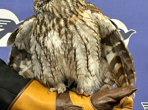 World Bird Sanctuary-Valley Park必去景点