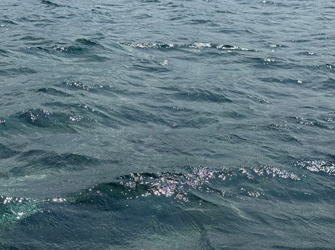 Visit Bajo-Labuan Bajo必去景点