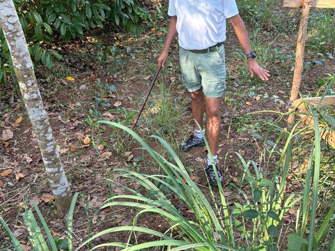 Nandana Tea Factory-Akuressa必去景点