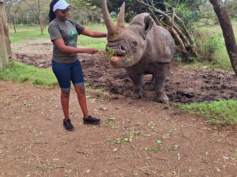 Besh African Adventures-内罗毕必去景点