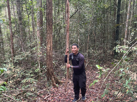 Panbil Nature Reserve-巴淡岛必去景点