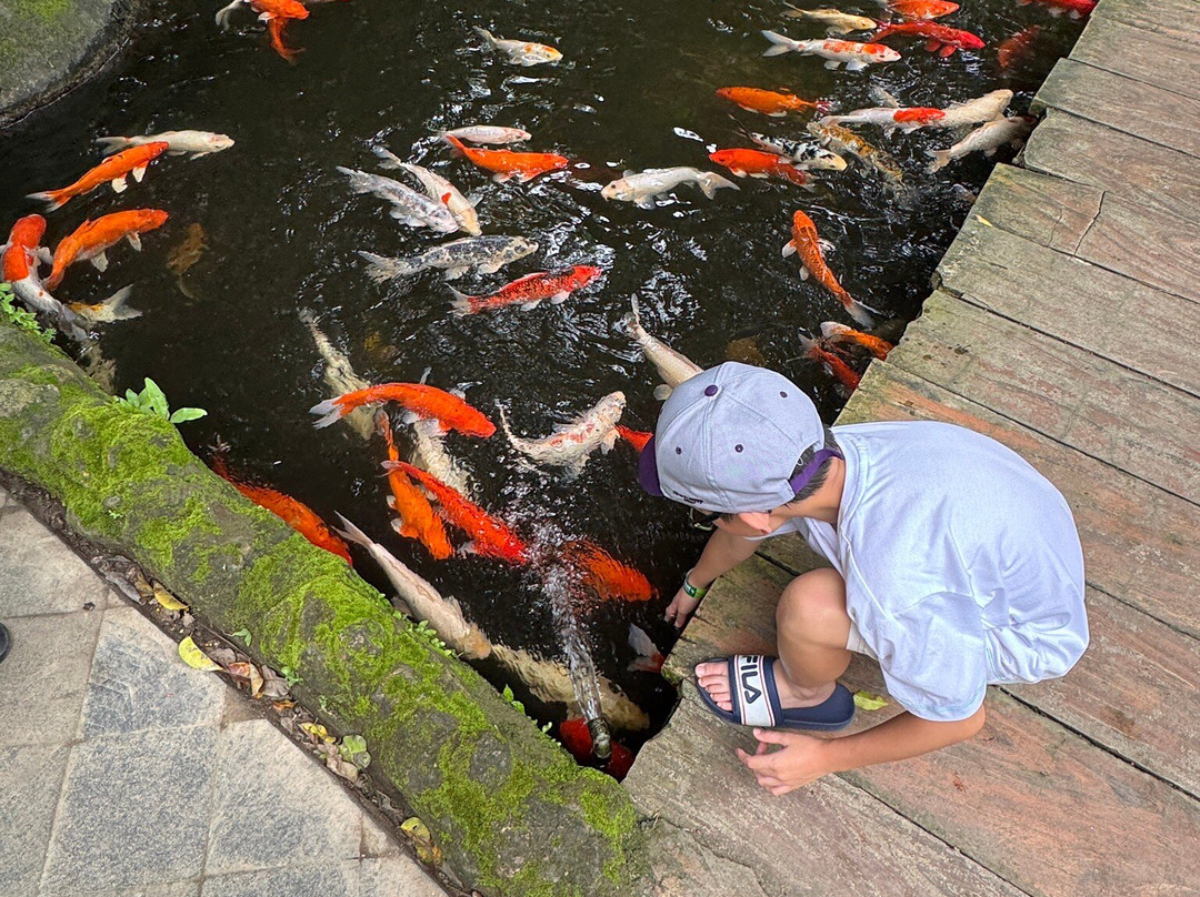 Sasi Bali Tours and Travel-库塔必去景点