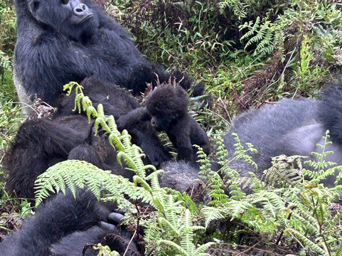 Africa Tours Adventure-坎帕拉必去景点