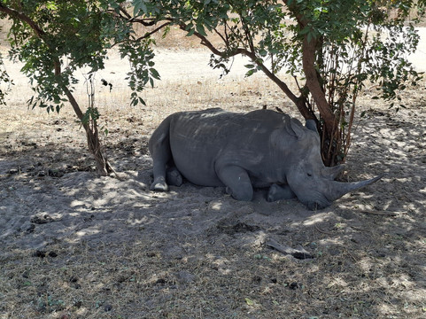 Gambia and Senegal tours with Ebrima-Tanji必去景点