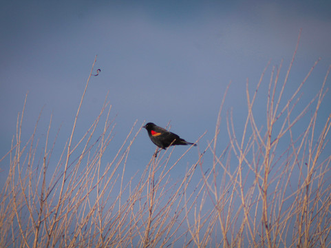 默塞德国家野生动物保护区-默塞德必去景点