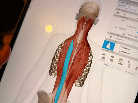 Waho-An Nature Tokyo-Daikanyama必去景点