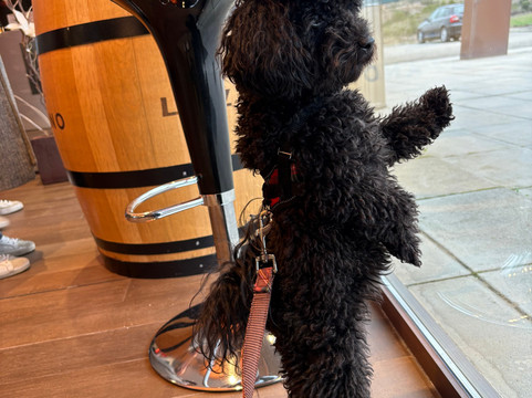 Bodegas Lozano-Leza必去景点