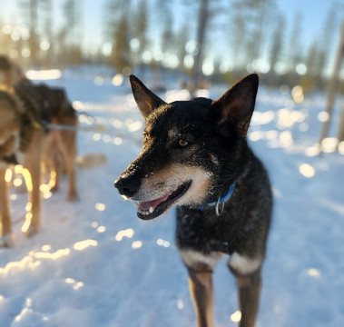 Ruka Adventures-库萨莫必去景点