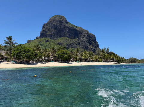 Dream Dolphin-黑河必去景点