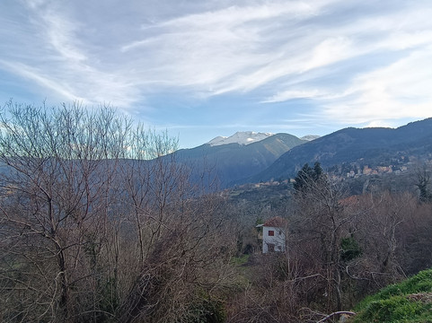 玛尔拉盖尼柯酒店主图