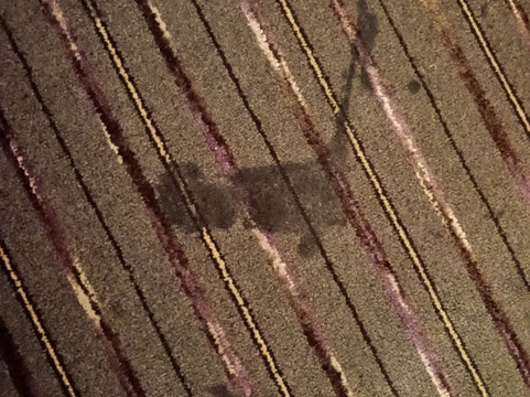 利物浦市中心莱姆街普瑞米尔酒店主图