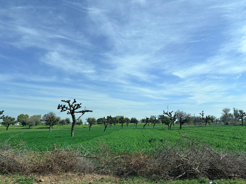 A Baisa’s Adventures-Shekhawati必去景点