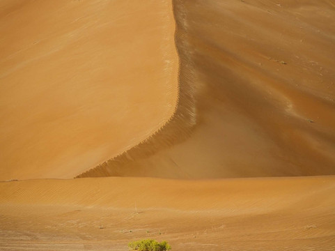 Arabian Sands Tours Oman-塞拉莱必去景点