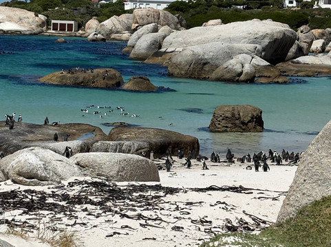 Jarat Tours-Cape Peninsula National Park必去景点