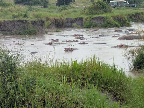 Serengeti Wakanda Tours & Safaris-阿鲁沙必去景点
