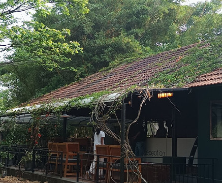 花瓣度假村主图