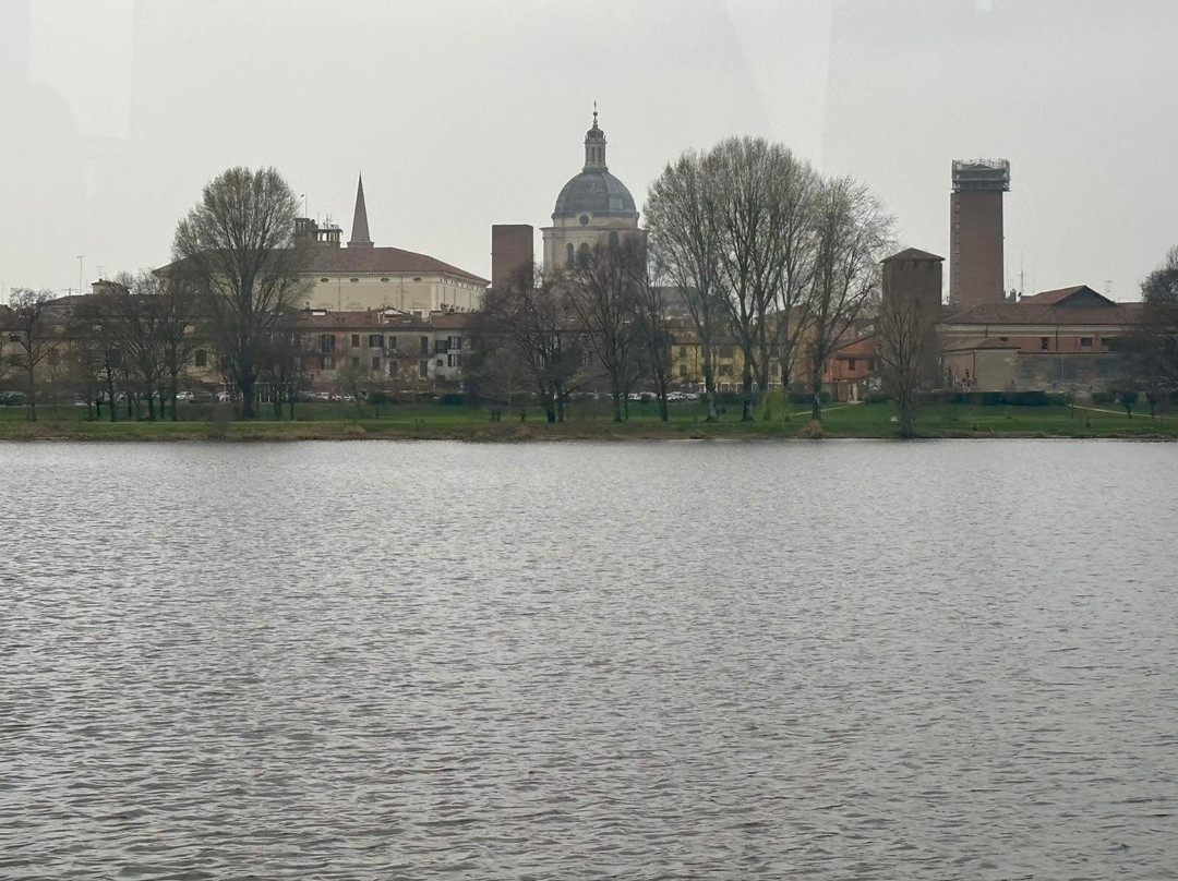 Motonavi Andes Negrini Day Tours-曼托瓦必去景点