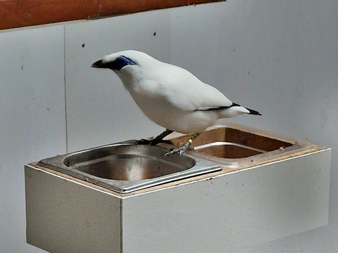 Linton Zoo-Linton必去景点