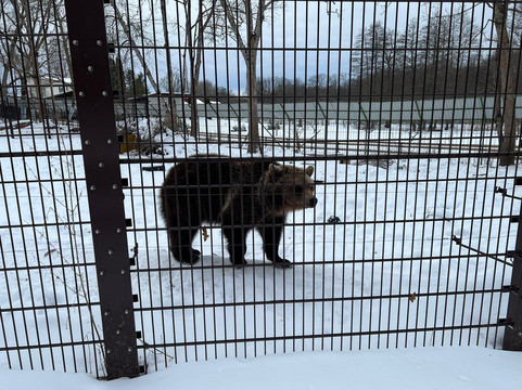 Elistvere Animal Park-Tabivere必去景点