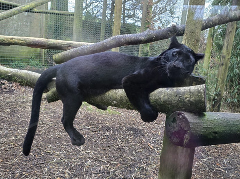 Exmoor Zoo-巴恩斯特珀尔必去景点