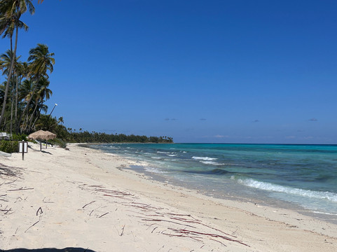 Caerula Mar Club主图