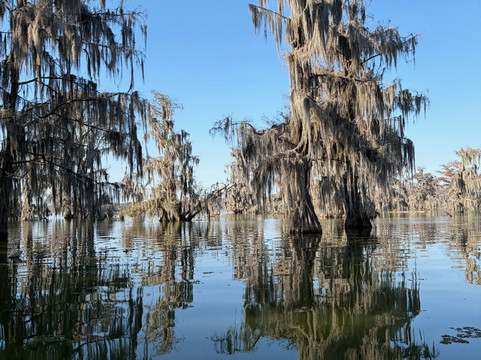 Swamp Tours With Wendy-布里奥克斯桥必去景点