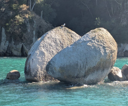 Abel Tasman Sea Shuttle Ltd-莫图伊卡必去景点