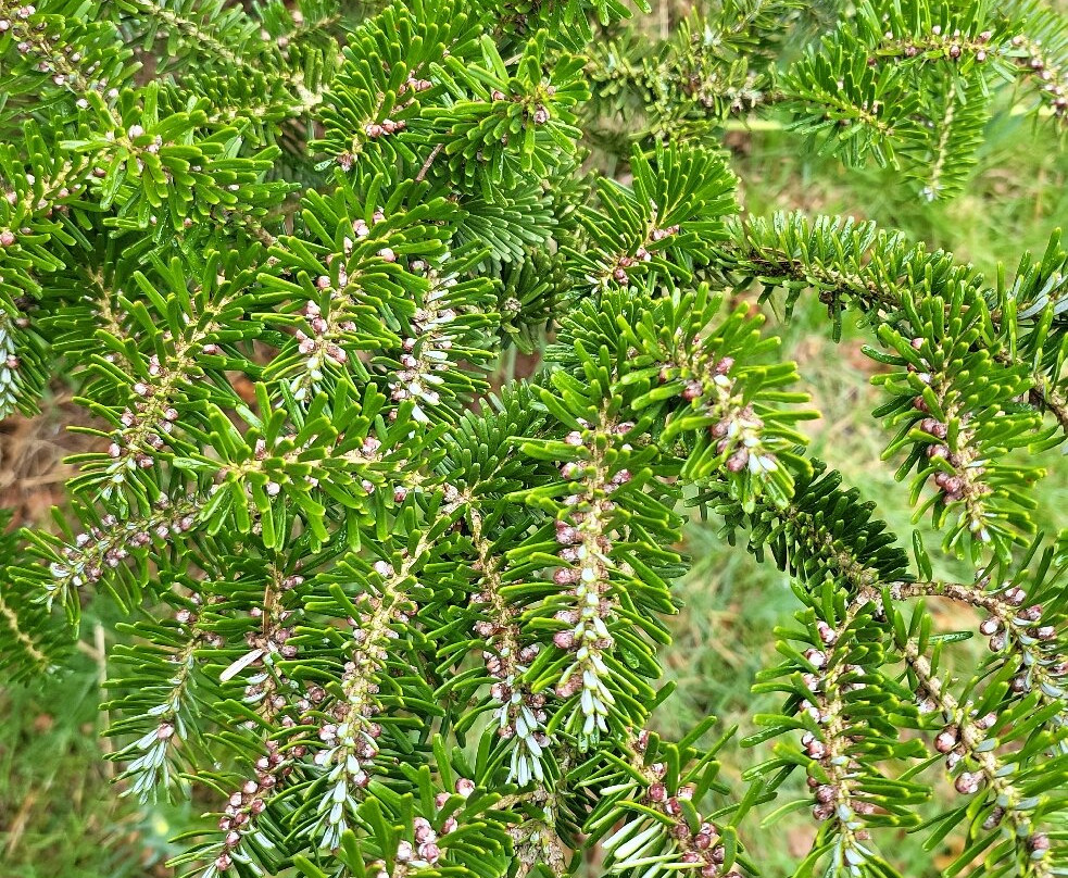 Stoneywell-Markfield必去景点