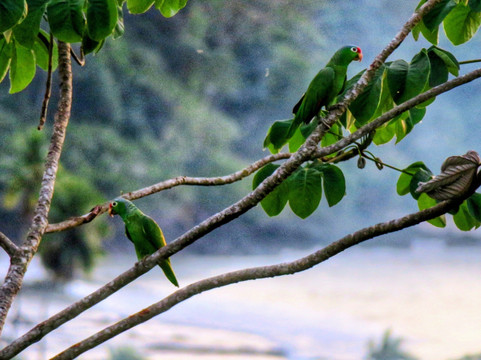 Bona Visio Café ( Coffee & lounge bar)