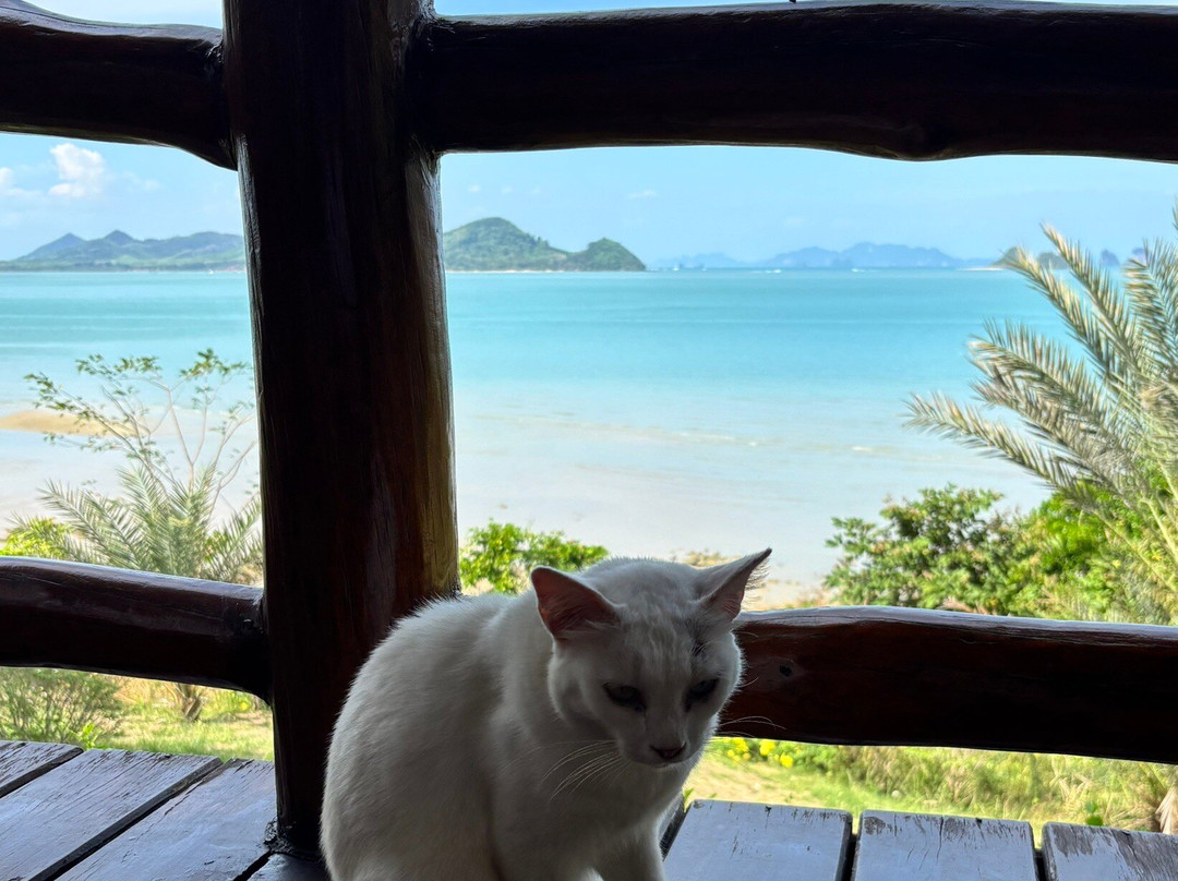 埃斯梅拉达观景度假村主图