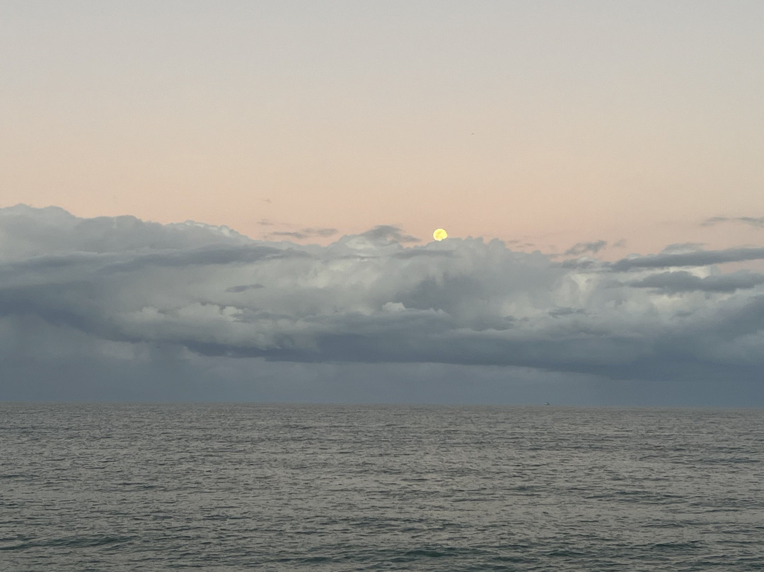 Rikki Tiki Tavern-可可海滩必去景点