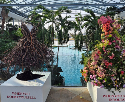 Therme Bucuresti-Balotesti必去景点