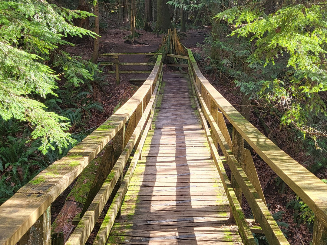 Soames Hill (aka Knob Hill)-吉布森斯必去景点