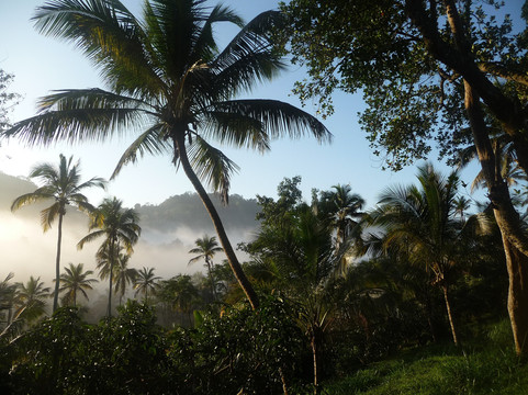 吉姆的农场别墅主图