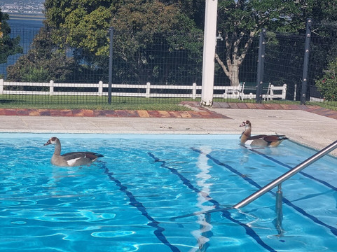观景楼庄园酒店主图