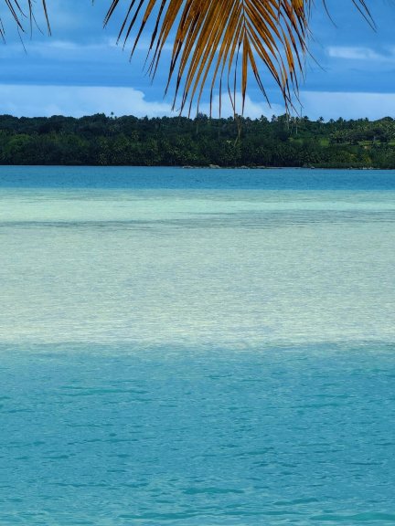 布兰多酒店，特蒂阿罗阿私人岛屿-官方