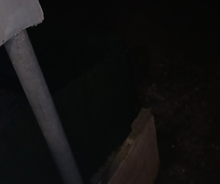 Exceptionnel Studio Versailles