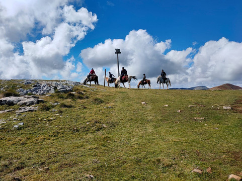 Lazy Horse Riding Center-Tarcin必去景点