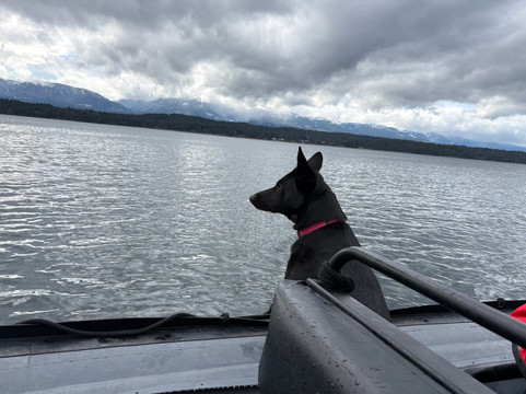 Wild Waterways Adventures-Quathiaski Cove必去景点