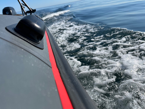 Cape Coast Expeditions-Yzerfontein必去景点