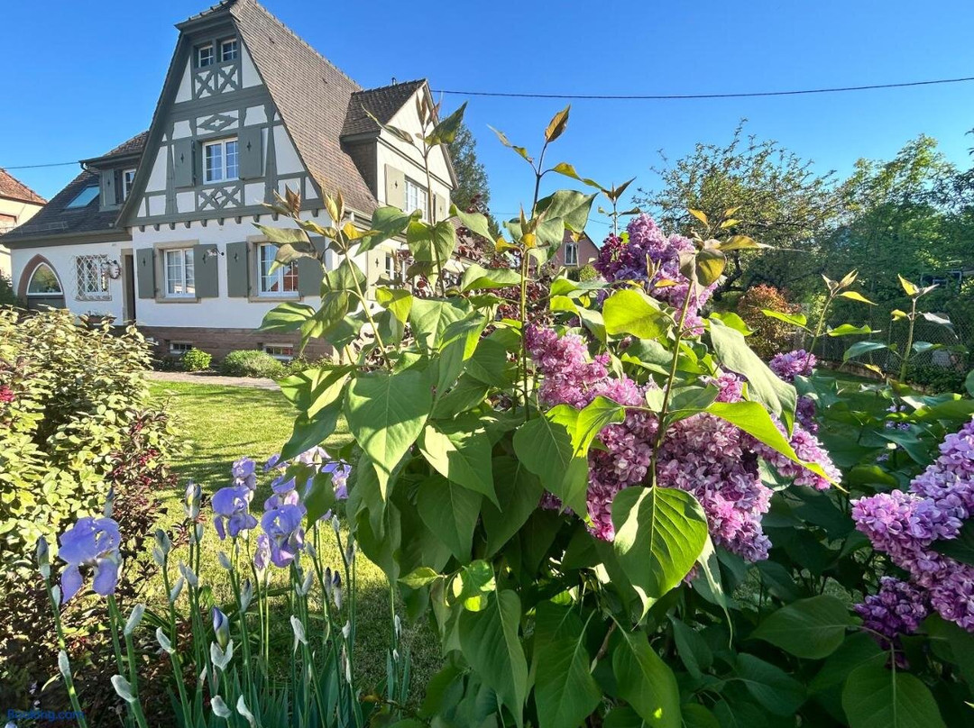 Le Hetre Rouge Charme & Spa Alsace