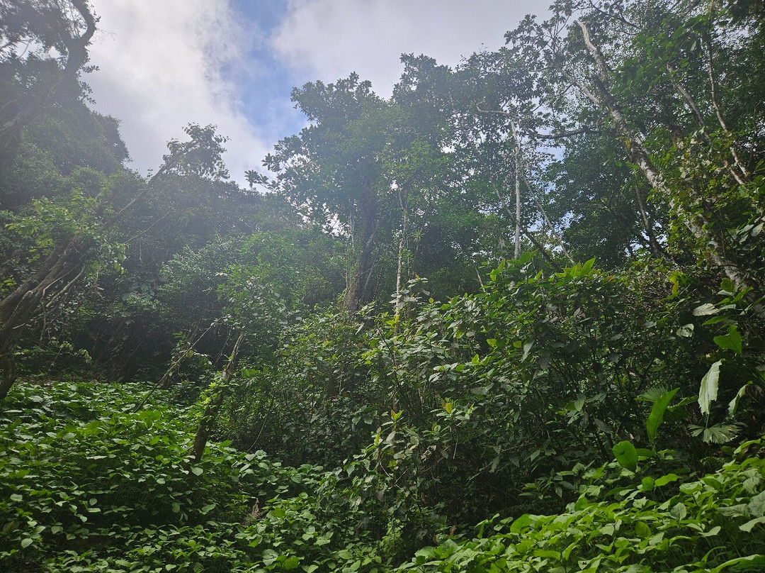 El Chorro Macho-安东谷必去景点