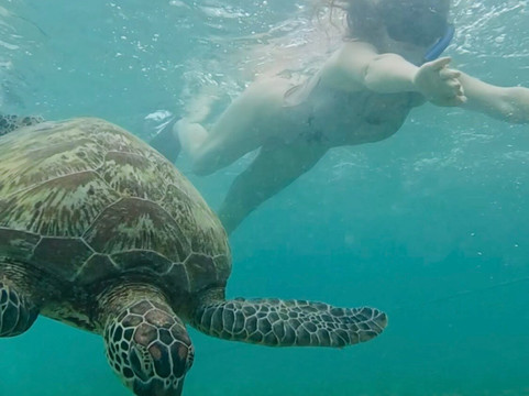 Highland Adventure Tours-达拉盖地必去景点