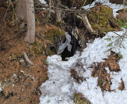 Nendaz 4 Vallees-Nendaz必去景点